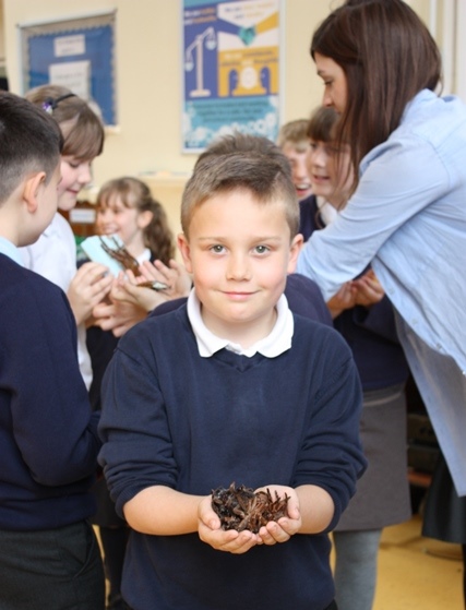 Pupils get hands on with nature at Briar Chemicals poetry competition launch